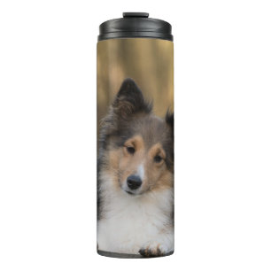 Adorable Sheltie Thermosbecher