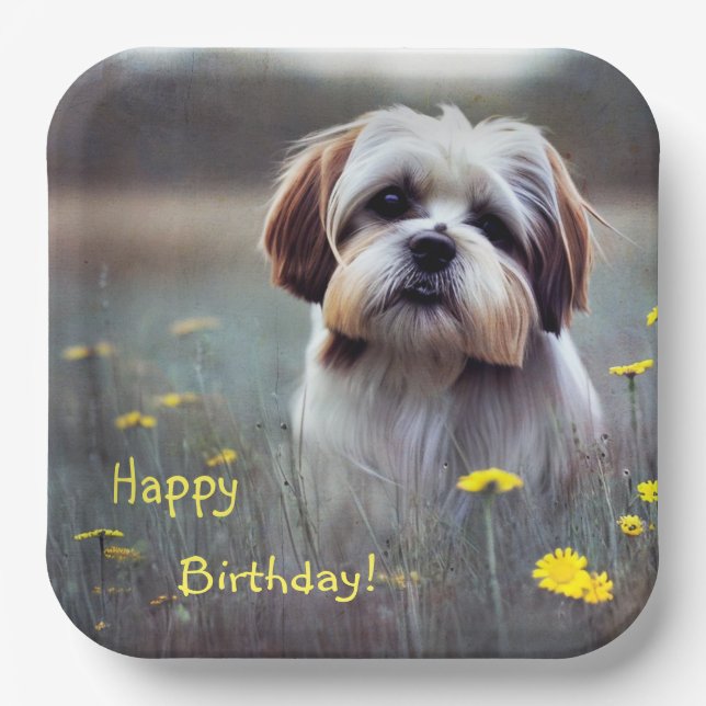 Adorable Shih Tzu Pappteller (Vorderseite)