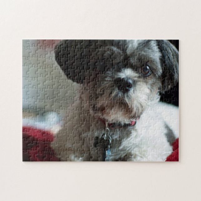 Adorable Shih Tzu Puzzle (Horizontal)