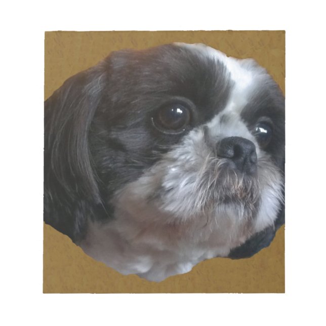 Adorable Shih tzu Rico Notizblock (Vorderseite)