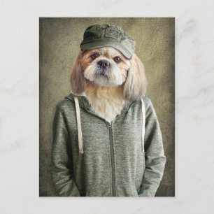 Adorable Shih Tzu Tragen einer Cap und Hoodie Postkarte