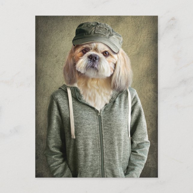 Adorable Shih Tzu Tragen einer Cap und Hoodie Postkarte (Vorderseite)