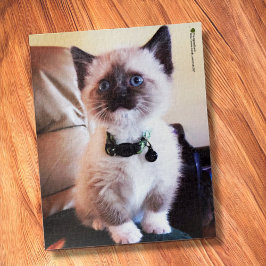 Adorable Siamese Kitten Blue Eye Nah-up Foto Puzzle