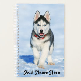 Adorable sibirische Husky Welpe im Schnee Planer