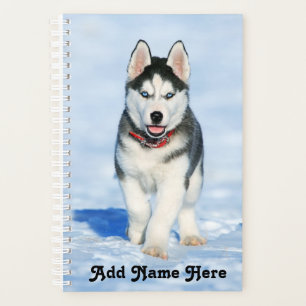 Adorable sibirische Husky Welpe im Schnee Planer