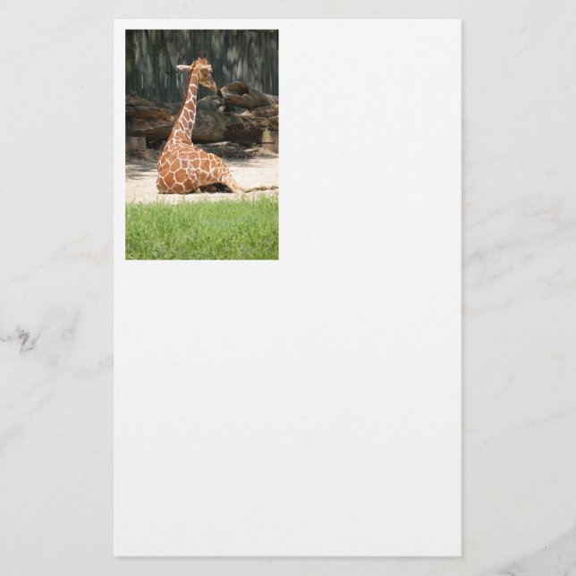 Adorable Sitting Giraffe Briefpapier (Vorderseite)