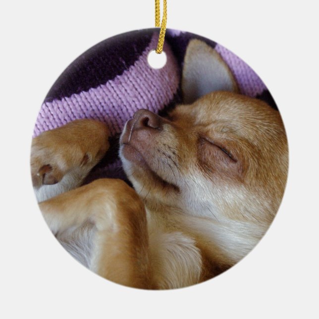 Adorable Sleeping Chihuahua Welpe Keramik Ornament (Vorne)