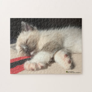 Adorable Sleeping Kitten Foto Puzzle