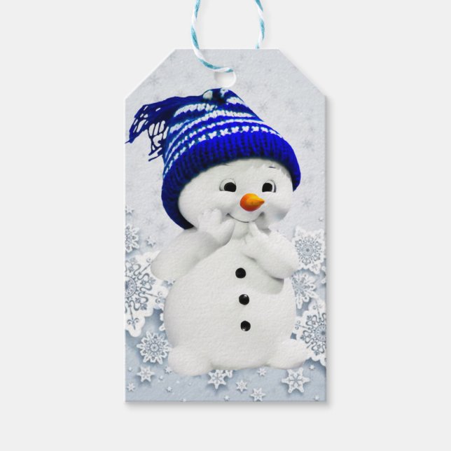 Adorable Snowman mit Blue-Hat-Geschenketiketten Geschenkanhänger (Vorderseite)