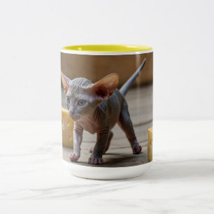 Adorable Sphynx Kitten und Käse Zweifarbige Tasse