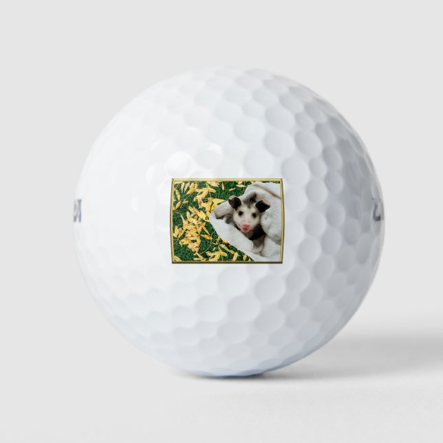 Adorable Sweet Baby Opossum Golfball (Vorderseite)