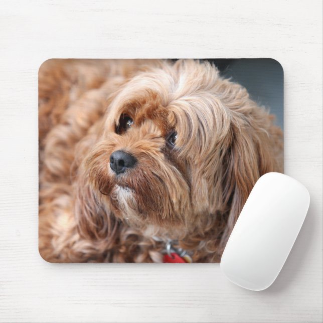 Adorable Sweet Cavoodle Puppy Mousepad (Mit Mouse)