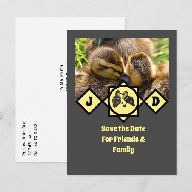 Adorable Twin Ducklings Monogram Foto Einladungspostkarte (Vorne/Hinten)