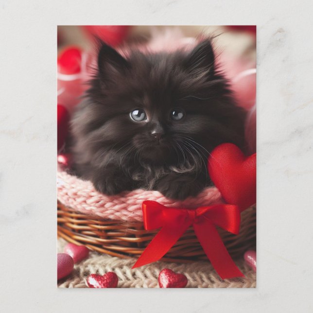 Adorable Valentine Fluffy Black Kitten in Basket Postkarte (Vorderseite)