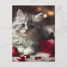 Adorable Valentine Fluffy Gray Kitten Postkarte