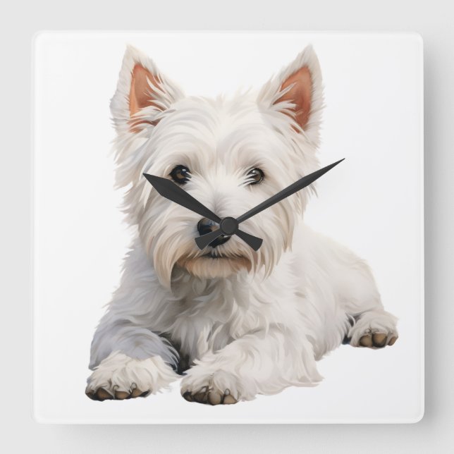 ADORABLE WESTLICHER HIGHLAND WHITE TERRIER DOG QUADRATISCHE WANDUHR (Vorderseite)