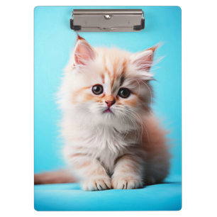 Adorable White Kitten Potrait-54971 Klemmbrett