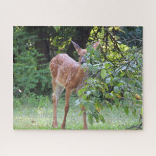 Adorable White Schwanz Deer Fawn Peeking Puzzle