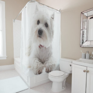 Adorable White West Highland Terrier Duschvorhang