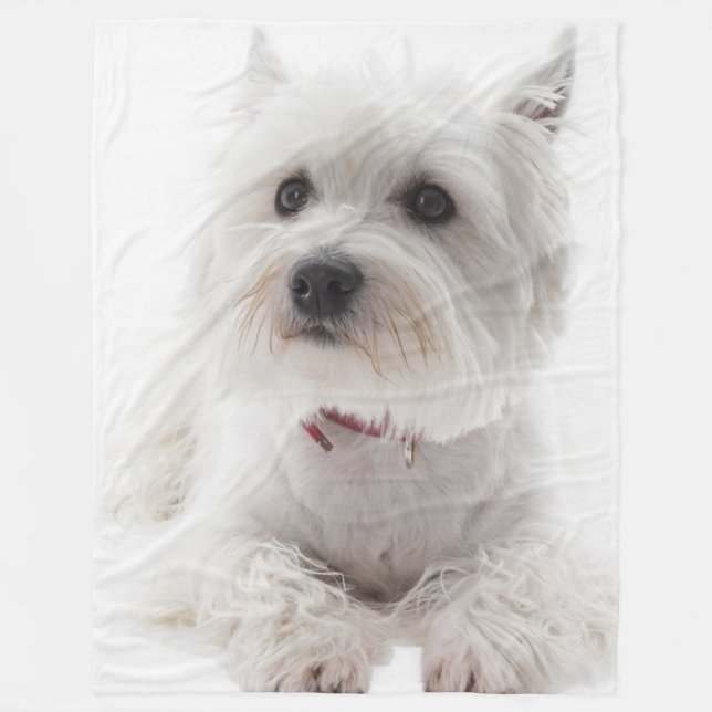 Adorable White West Highland Terrier Fleecedecke (Vorderseite)