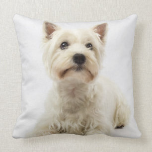 Adorable White West Highland Terrier Kissen