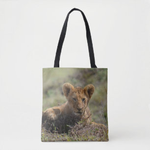 Adorable Wild African Lion Cubs