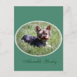Adorable Yorkie Custom Postcard Postkarte