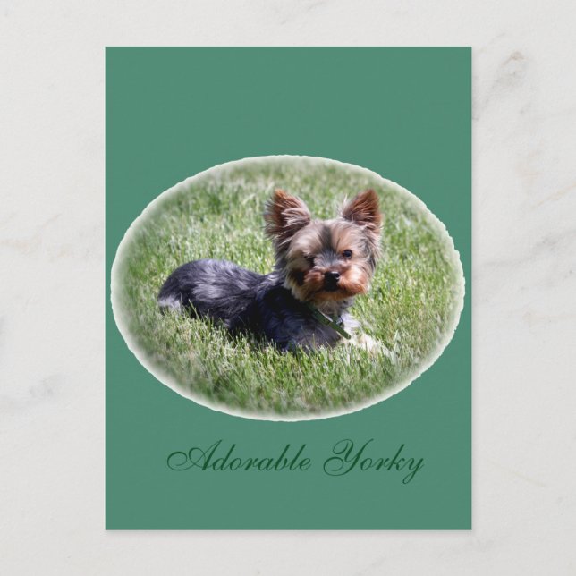 Adorable Yorkie Custom Postcard Postkarte (Vorderseite)