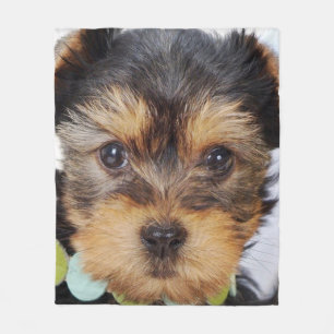 Adorable Yorkshire Terrier Fleecedecke