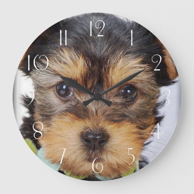 Adorable Yorkshire Terrier Große Wanduhr (Vorderseite)