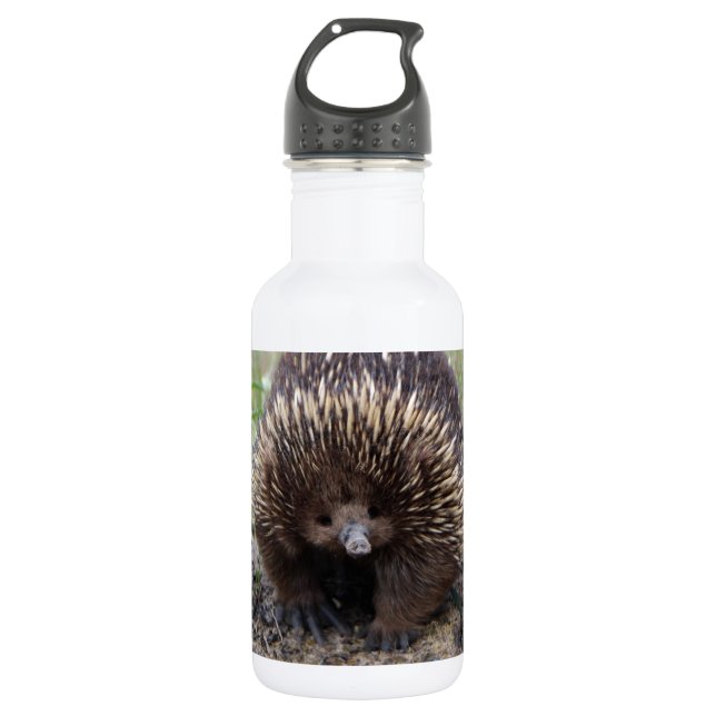 Adortable australische Echidna Edelstahlflasche (Vorderseite)