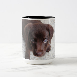 Adortable Chocolate Labrador Retriever Welpe Zweifarbige Tasse