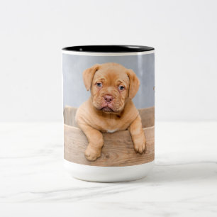 Adortable Dogue de Bordeaux Zweifarbige Tasse