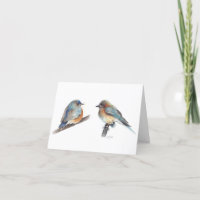 Adortable Eastern Bluebird Couple Danke Karte