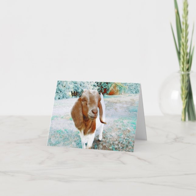 Adortable Goat to say Hello - Blank Card Karte (Vorderseite)