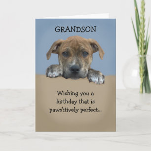 Adortable Grandson Birthday Card Karte