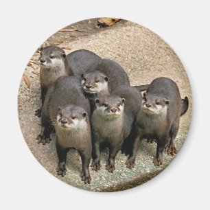Adortable Otter Family Magnet