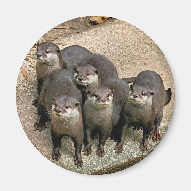 Adortable Otter Family Magnet (Vorne)