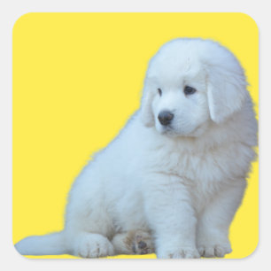 Adortable polnische Tatra Sheepdog Welpensticker Quadratischer Aufkleber