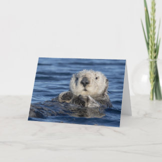 Adortable Sea Otter Card Karte