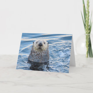 Adortable Sea Otter Flüchtigen Blicke Karte