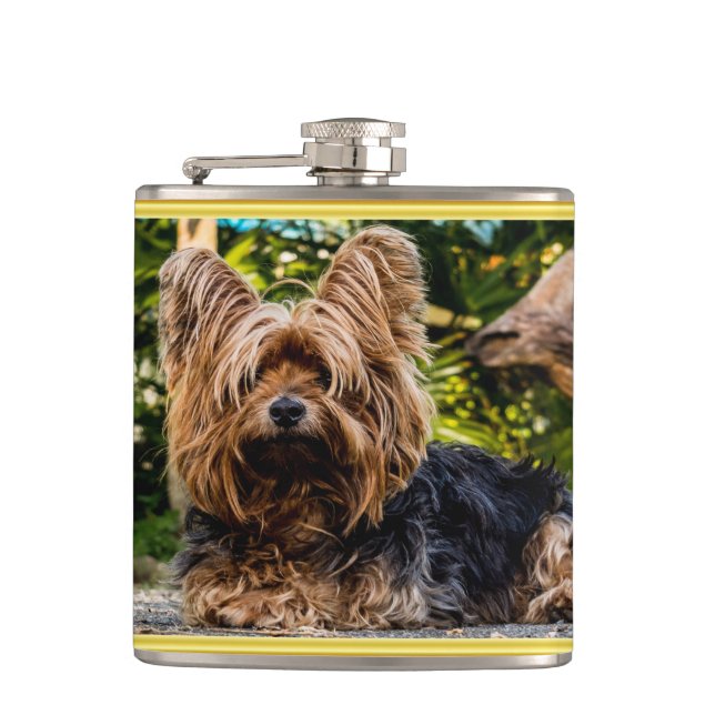 Adortable Sweet Yorkshire Terrier Goldfolie Design Flachmann (Vorderseite)
