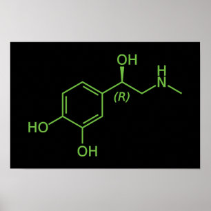 Adrenalin-Molekül-Chemiediagramm Poster