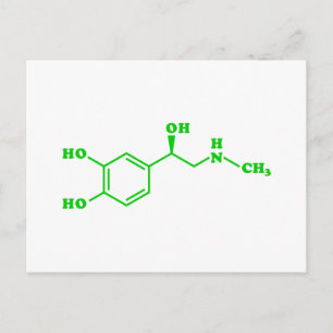 Adrenalin Molekulare chemische Formel Postkarte