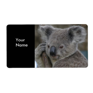 Adressaufkleber Koala-Bären