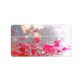 ADRESSE ETIKETTEN COOL ECO STYLE DESIGN ADRESSAUFKLEBER