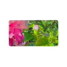 ADRESSE ETIKETTEN COOL ECO STYLE ESIGN