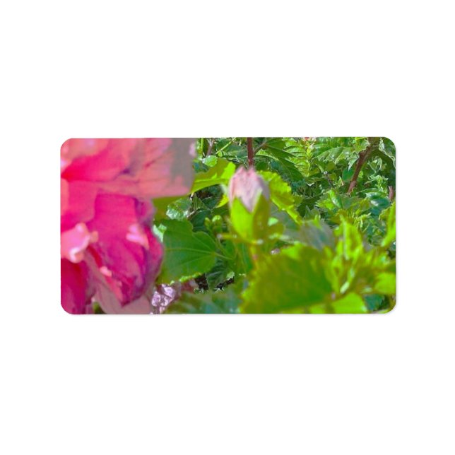 ADRESSE ETIKETTEN COOL ECO STYLE ESIGN ADRESSAUFKLEBER (Vorne)