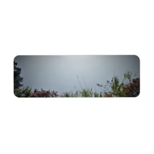 ADRESSE ETIKETTIEREN KUNST UND DESIGN