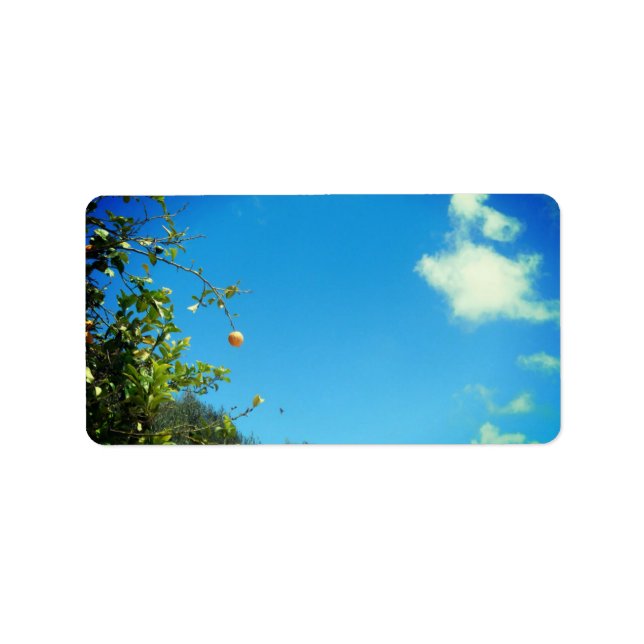 ADRESSE ETIKETTIEREN KUNST UND DESIGN ADRESSAUFKLEBER (Vorne)